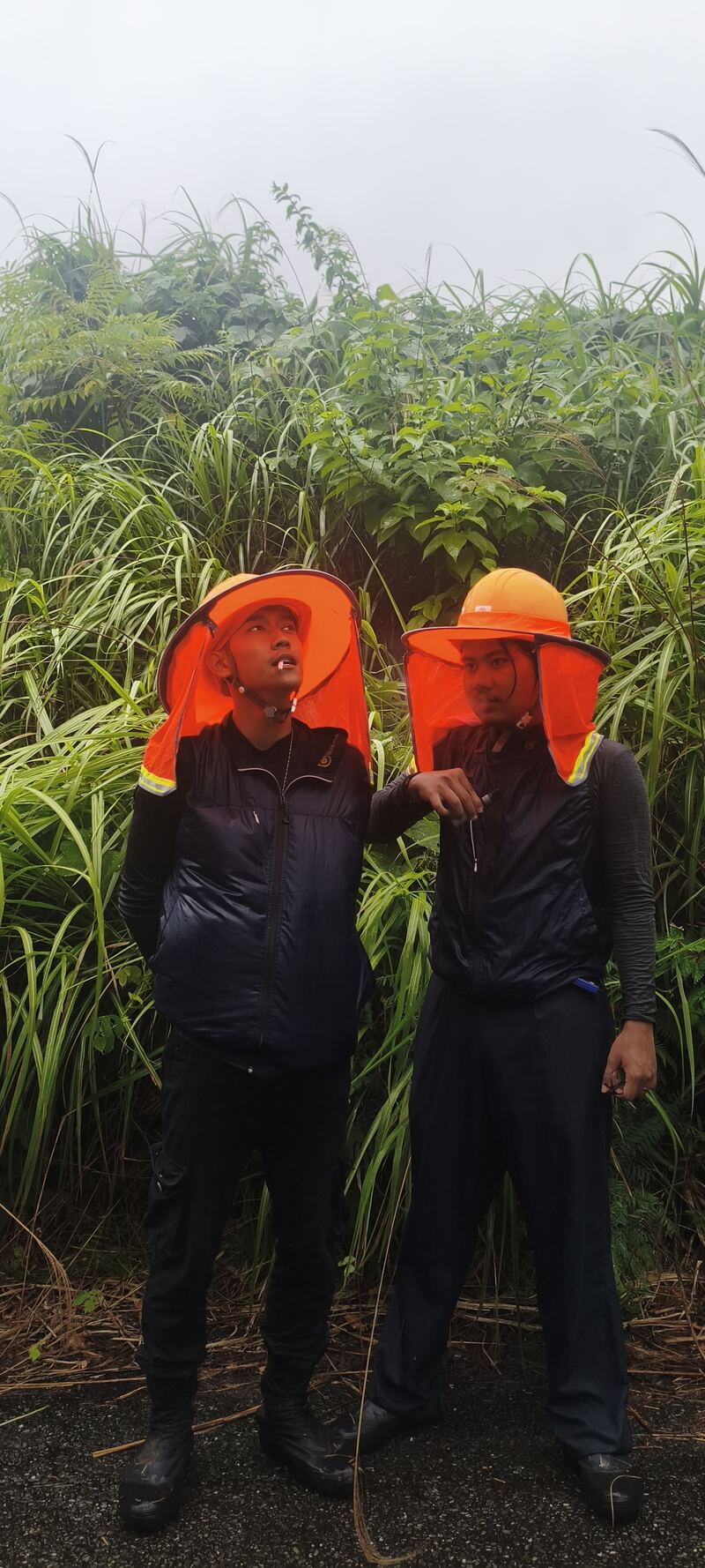 NOSUTA team on a hillside worksite