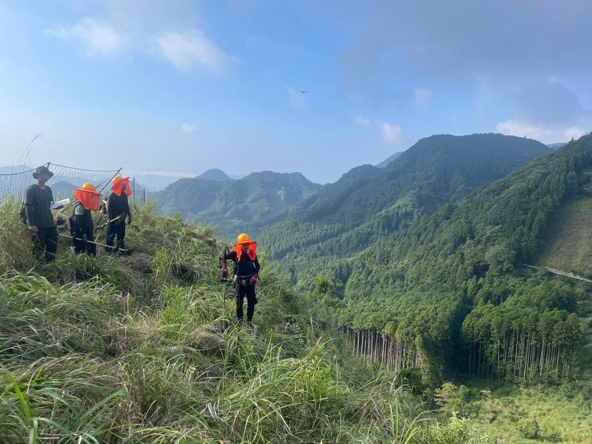 Worker clearing vegetation with brush cutter
